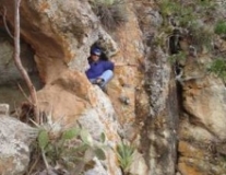 Imagen Cóndor Wasi